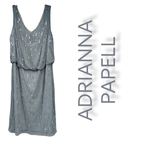 Adrianna Papell Beaded Gray  Sleeveless Dress Size 20W - Picture 1 of 5